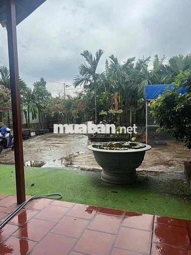 Cho thuê 3000m2 đất kèm nhà mặt tiền đường cây dương bình hoà