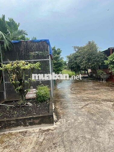 Cho thuê 3000m2 đất kèm nhà mặt tiền đường cây dương bình hoà