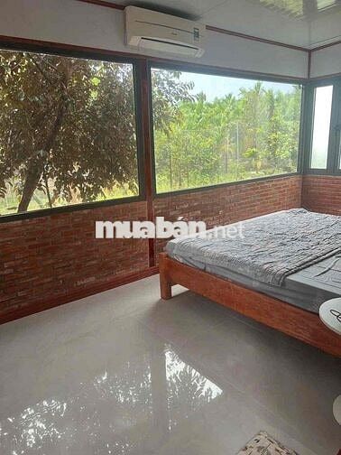 Cho thuê 3000m2 đất kèm nhà mặt tiền đường cây dương bình hoà