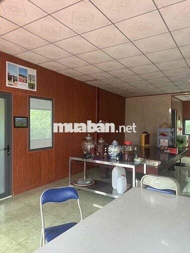 Cho thuê 3000m2 đất kèm nhà mặt tiền đường cây dương bình hoà