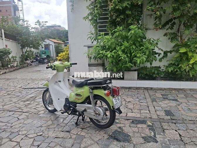 Xe cúp 50cc han quốc