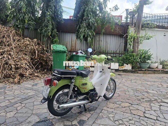 Xe cúp 50cc han quốc