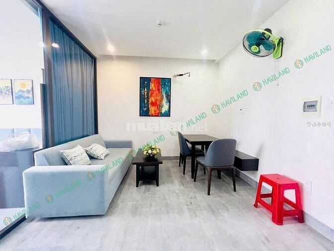 Căn hộ 1 phòng ngủ khu vực Hoà Xuân