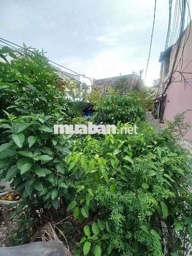 Q7, HXH, ĐẤT ĐẸP ĐẦU TƯ, 7,2X17M, XÂY ĐƯỢC 6 TẦNG, SÁT KCN TÂN THUẬN