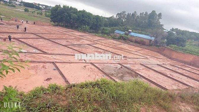 ĐẤT NỀN GIÁ RẺ NHẬP KHẨU HÀ NỘI