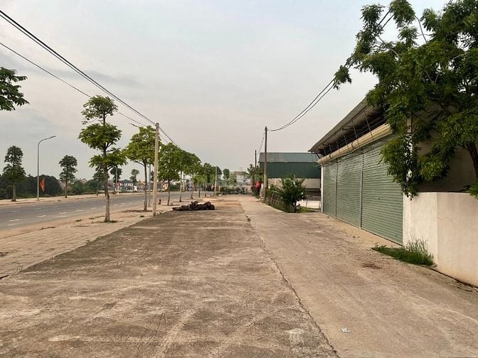 SIÊU CƠ HỘI – ĐẤT TRUNG TÂM XÃ QUẢNG OAI – BA VÌ CHỈ 60 TRIỆU/M²