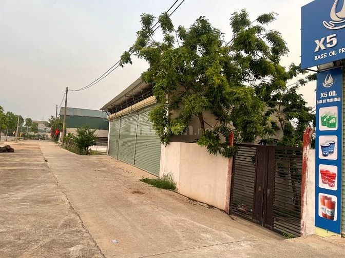 SIÊU CƠ HỘI – ĐẤT TRUNG TÂM XÃ QUẢNG OAI – BA VÌ CHỈ 60 TRIỆU/M²