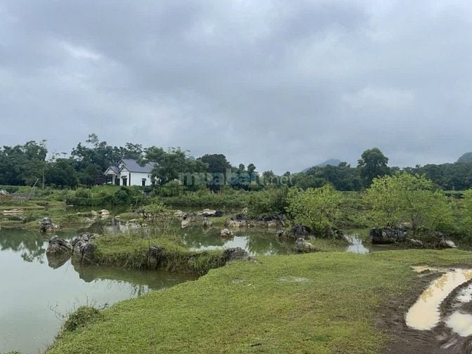 Bán đất giá rẻ 1000m2 hoà bình