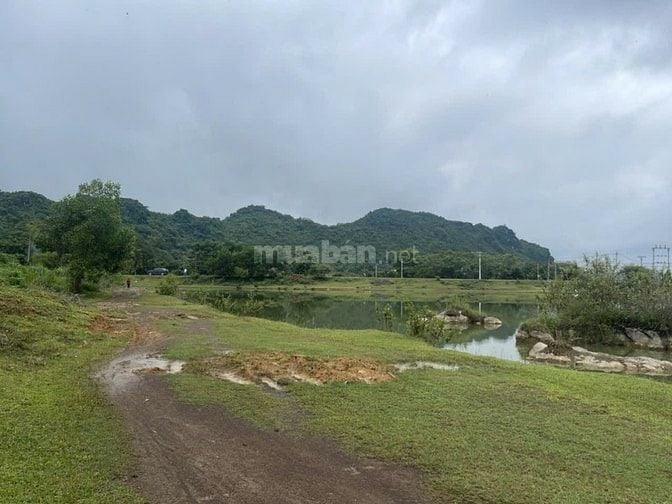 Bán đất giá rẻ 1000m2 hoà bình