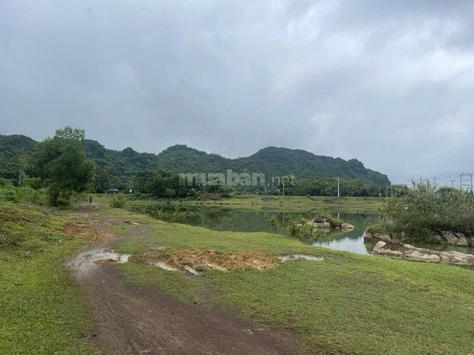 Bán đất giá rẻ 1000m2 hoà bình