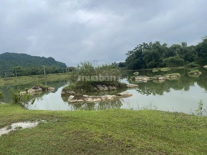 Bán đất giá rẻ 1000m2 hoà bình