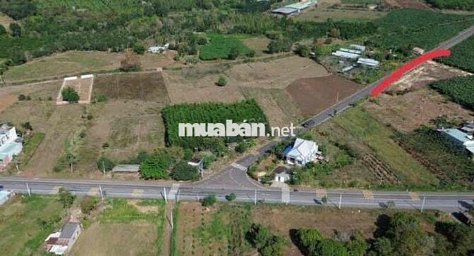 Sang 2 Lô đất 300m2 Đường DT765, Bà Rịa - Vũng Tàu - SHR