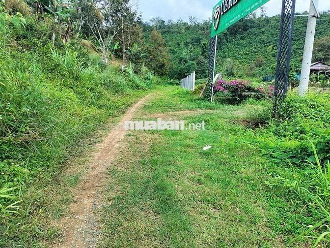 🌿 BÁN ĐẤT NGHỈ DƯỠNG – CÓ SỔ ĐỎ RIÊNG – HUYỆN BẢO LÂM, LÂM ĐỒNG 🌿