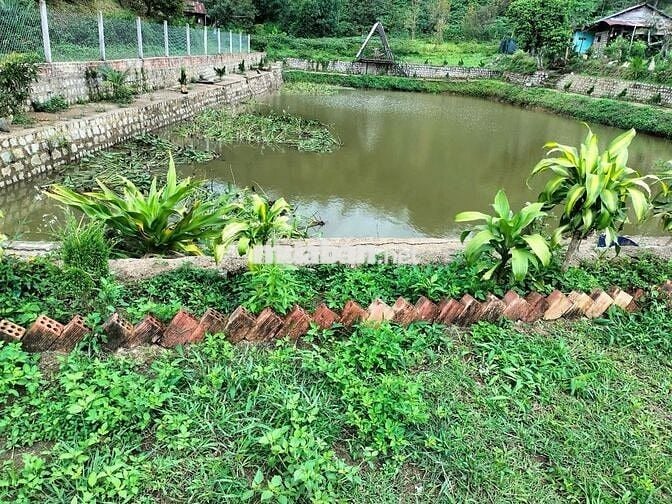 🌿 BÁN ĐẤT NGHỈ DƯỠNG – CÓ SỔ ĐỎ RIÊNG – HUYỆN BẢO LÂM, LÂM ĐỒNG 🌿