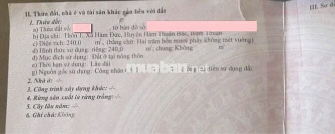CHÍNH CHỦ BÁN LÔ ĐẤT MẶT TIỀN ĐƯỜNG LỚN