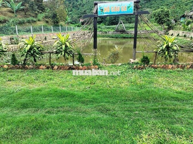 🌿 BÁN ĐẤT NGHỈ DƯỠNG – CÓ SỔ ĐỎ RIÊNG – HUYỆN BẢO LÂM, LÂM ĐỒNG 🌿