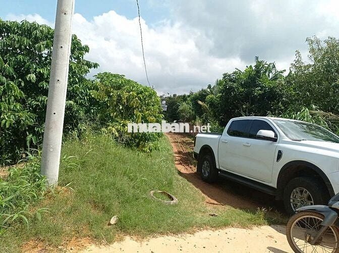 Bán đất vườn 7800m² view đẹp+ cây ăn trái, sưa đỏ- chỉ 8km TP Bảo Lộc