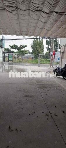 CHO THUÊ MẶT BẰNG PHAN VĂN HỚN 9x56m - TRỐNG SUỐT - SẠCH ĐẸP- SÂN RỘNG