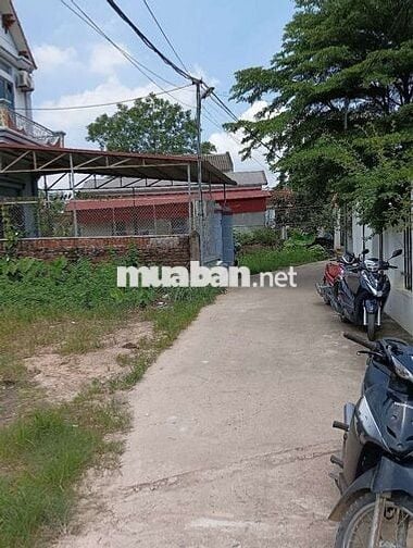 Bán Đất - Thái Lai(Minh Trí) - 120M2 Full Thổ Cư- 1,65 Tỷ -Đường Ô Tô