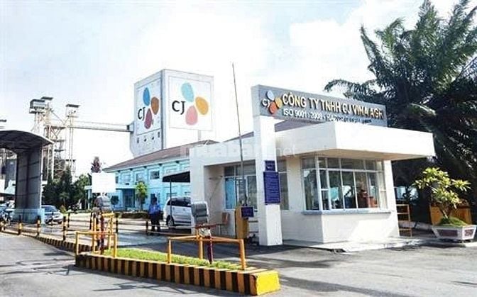 Tuyển công nhân đóng gói thực phẩm