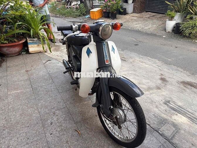 Xe honda cub 78 50cc BSTP