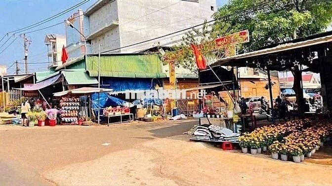 đất mt KINH DOANH chợ Việt Kiều, 240m2 giá NGỘP 520Tr Tân Thông Hội