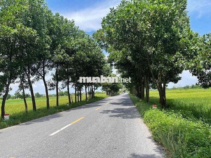 83.6M- MT 5.9M-ĐƯỜNG Ô TÔ TRÁNH -QUANG TIẾN SÓC SƠN