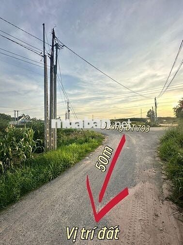 ĐẤT SỔ SẴN - ĐÃ CÓ THỔ - SANG TÊN LIỀN TAY