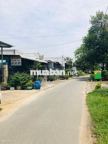 Bán gấp lô đất full thổ sát QL22 chỉ 300m thuộc Tân Thông Hội, Củ Chi