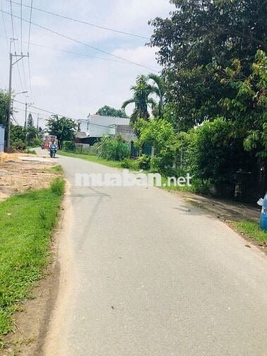 Bán gấp lô đất full thổ sát QL22 chỉ 300m thuộc Tân Thông Hội, Củ Chi