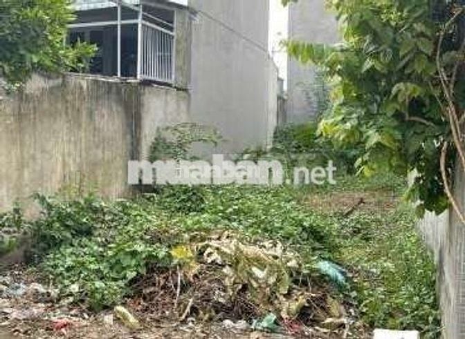 Q7 - TÂN MỸ- DT KHỦNG 104m2- XÂY CĂN HỘ DỊCH VỤ GÓC 2 MẶT HẺM