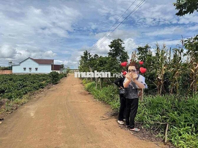 Đất đẹp gần chợ Tân Hội, giá mềm 760 triệu
