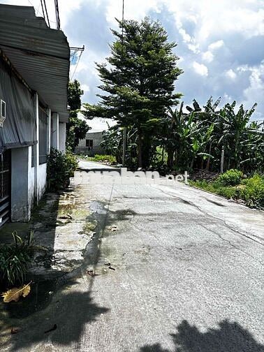 ĐẤT HXH THÔNG 6M SÁT MẶT TIỀN BÌUI CÔNG TRỪNG - 5x19M - 3,38 TỶ