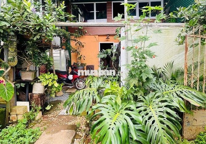 cho thuê nhF nguyên căn p5 đà lat full nội thất cơ bản