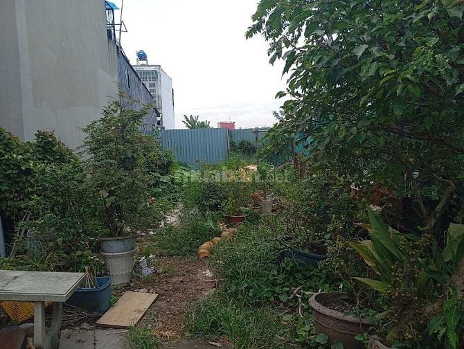 Cần bán gấp lô đất đường Thới Hoà, xã Vĩnh Lộc A