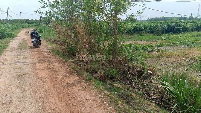 KẸT TIỀN CẦN RA ĐI NHANH THƯƠNG LƯỢNG MẠNH