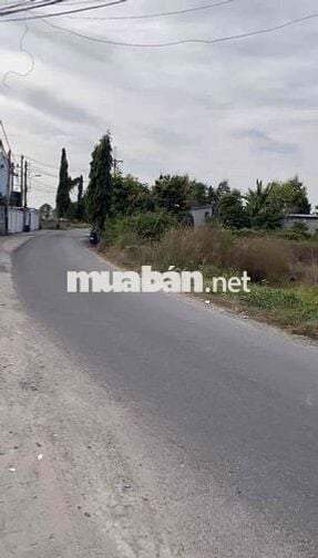 (56)BÁN GẤP LÔ ĐẤT 160,8M² – XÃ TÂN THÔNG HỘI, CỦ CHI – CHÍNH CHỦ.