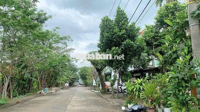 CHÍNH CHỦ LÔ ĐẤT ĐẸP TÁI ĐỊNH CƯ PHONG NAM HÒA XUÂN ĐƯỜNG 7,5M