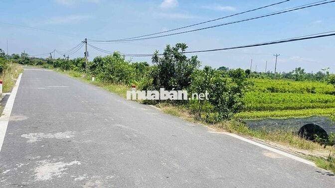 🏌️‍♂️ CHÍNH CHỦ BÁN LÔ ĐẤT 87,3M² – VIEW DỰ ÁN SÂN GOLF TẬP ĐOÀN TRUMP