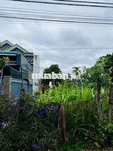 Bán đất mặt tiền đường Lê văn An Khánh xuân