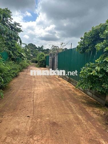BÁN ĐẤT HẺM ĐƯỜNG A14 - NHÌN QUA KHU ĐÔ THỊ TRUNG NGUYÊN