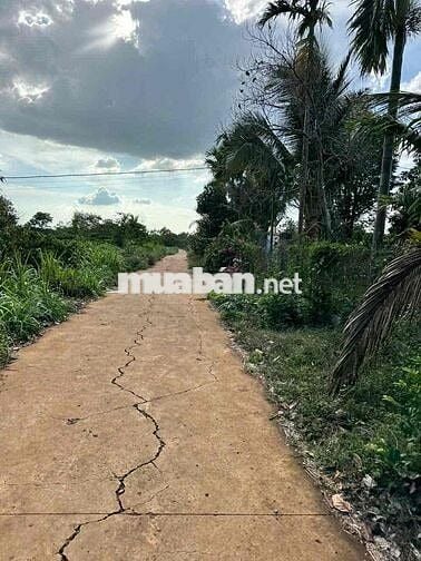 ĐẤT THÔN 6, CƯ ÊBUR BÌA RIÊNG 500mv - CHỈ 690Triệu