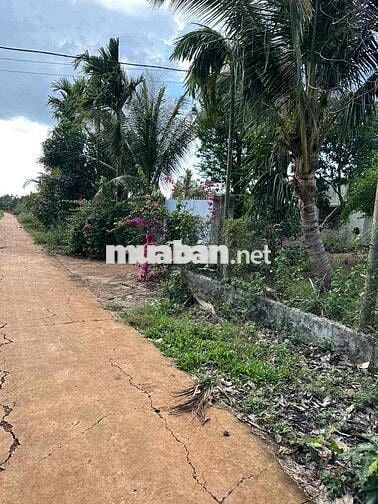 ĐẤT THÔN 6, CƯ ÊBUR BÌA RIÊNG 500mv - CHỈ 690Triệu
