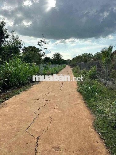 ĐẤT THÔN 6, CƯ ÊBUR BÌA RIÊNG 500mv - CHỈ 690Triệu