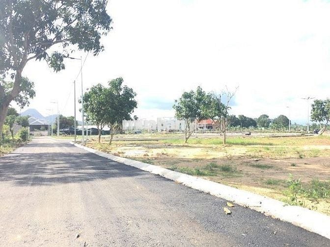 Siêu phẩm 4 lô đường nhựa 5m5 kdc mới gần Nam Kỳ đoạn Hòa Khương