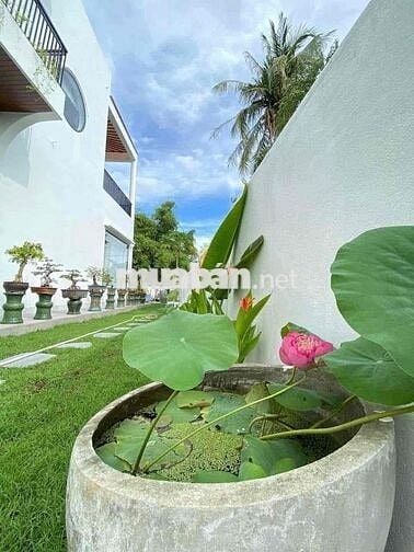 CHÍNH CHỦ BÁN NHÀ 1 TRỆT 1 LỬNG – BỬU LONG, BIÊN HÒA