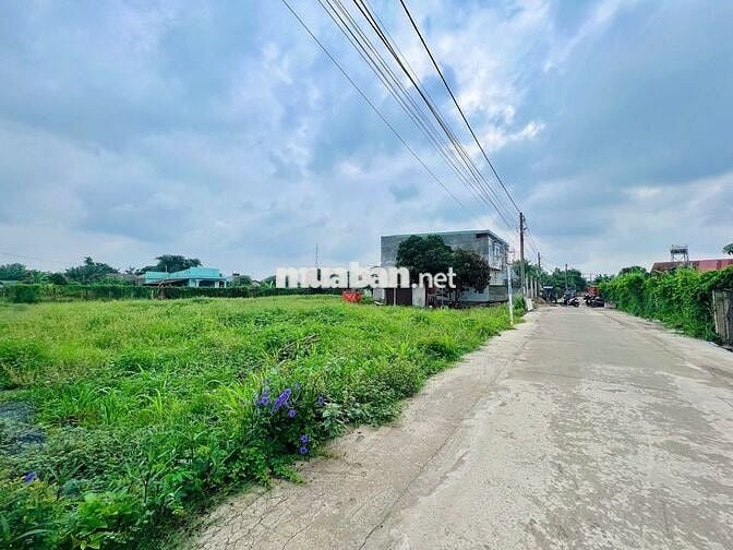 Đất Nền Sổ Hồng Riêng Thổ Cư Ngay Sân Bay Biên Hoà Chỉ 500Tr CôngChứng