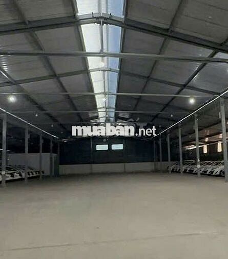 Thuê kho bãi Quận 7, DT 850m có tường xây kiên cố đẹp - chuẩn.