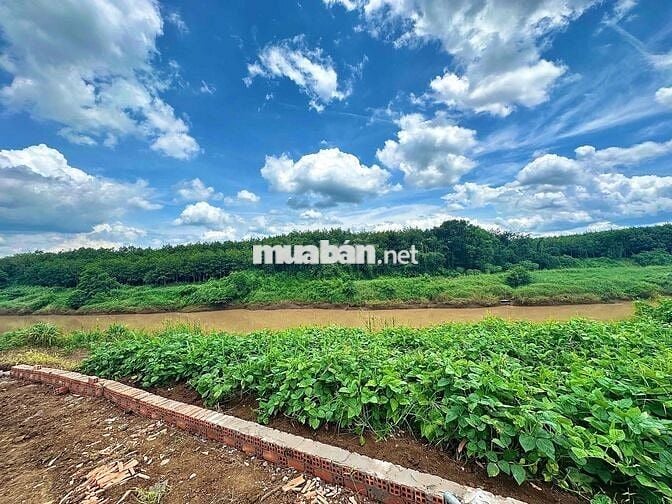 chính chủ ngộp bán gấp mãnh đất view sông tại TP HCM