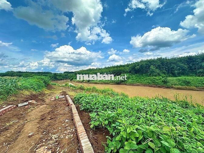 chính chủ ngộp bán gấp mãnh đất view sông tại TP HCM